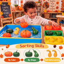 Frog Catching Fun: Musical Bounce Board Game for Kids 3+ with 2 Nets & 10 Frogs