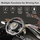 Lamborghini Veneno 12V 4WD Black Two-Seater Ride-On Car for Kids