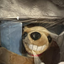 2004 Interactive Humphrey the Humping Dog Plush Toy - Battery Operated, New in Box