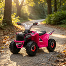Pink 6V Children’s Electric Ride-On Car with Forward and Reverse Features