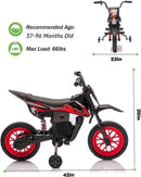 24V Electric Ride-On Motorcycle for Kids