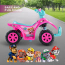 Paw Patrol Skye 6V Quad for Kids - Safe and Thrilling Ride-On Experience