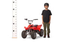 Razor Dirt Quad Electric 4-Wheel eBike 8 MPH with Durable Polyester Blend