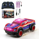 Spider 1:24 Remote Control Car for Kids in Assorted Colors
