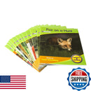 Junior Learning Blend Readers - Set of 12 Engaging Non-Fiction Phonics Books