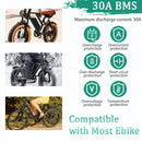 48V 16Ah Lithium Ion Battery for Electric Bicycles