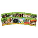 Junior Learning Blend Readers - Set of 12 Engaging Non-Fiction Phonics Books