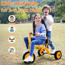 WOGDKS Metal Tricycle for Kids 3-6 Years with Airless Rubber Tires