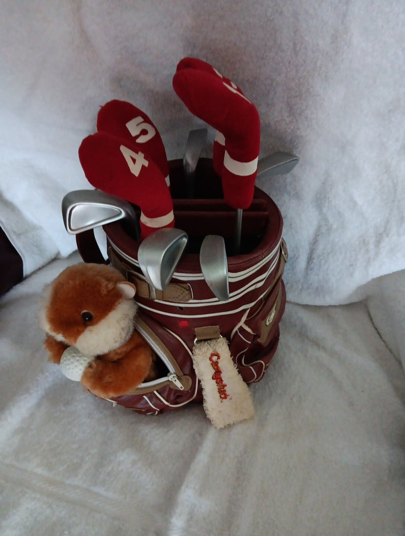 Working Caddy Shack Dancing and Singing Gopher Toy "I'm Alright"
