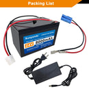 24V 8Ah Lithium Battery for Children's Ride-On Vehicles with 2A Charger and 25A BMS Compatibility
