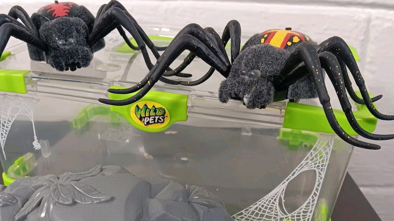Set of 2 Light-Up Moving Crawling Tarantula Spiders with Cage by Moose