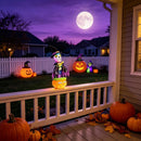 Halloween Dancing Cactus Toy with Talking Skull and Glowing Features