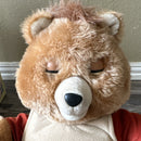 1985 Teddy Ruxpin Animated Talking Bear by Worlds of Wonder with Box and Cassette Manuals