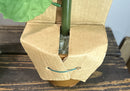 Gemmy Animated SUNNY Sunglasses-Wearing Singing Sunflower with Hidden Nature