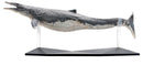 PNSO RON THE MOSASAURUS 1/35 Scale Dinosaur Collectible Art Figure