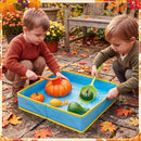 Frog Catching Fun: Musical Bounce Board Game for Kids 3+ with 2 Nets & 10 Frogs