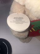 Festive Mariachi Chihuahua Puppy Dog with Singing Holiday Tunes 12”