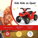 6V Electric Ride-On ATV Quad for Toddlers