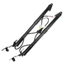 Liftgate Struts for 2013-2018 Toyota RAV4 2.5
