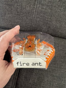 HEXBUG Remote Control Orange Fire Ant - Brand New Mint Condition