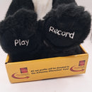 2005 JC Penney Record & Play Plush Panda Toy