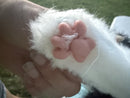 Companion Pet for Seniors - Lifelike Animatronic Cat - Realistic Soft-Touch Joy