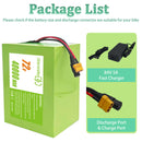 72V 40Ah Lithium Battery with Charger and 100A BMS