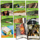 Junior Learning Blend Readers - Set of 12 Engaging Non-Fiction Phonics Books