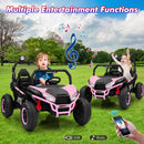 24V 2WD Metal Frame Kids 2-Seater Ride-On UTV Car with Remote Control