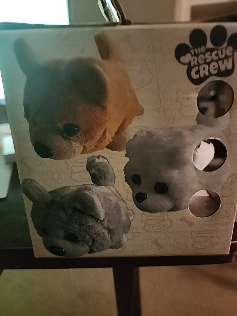 Remote Control Rescue Crew Pet Pups Pug Toy with Interactive Features