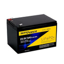 High-Performance 24V 9Ah Lithium LiFePO4 Deep Cycle Battery with 30A BMS | Over 3000 Charge Cycles