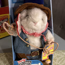 Cody Jr. Dancing Hamster by Gemmy - Wild Critter Battery-Operated Toy with Packaging