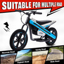 300W 24V Kids Off-Road Electric Balance Bike with LED Lights and Music, 2 Speed