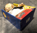 Groovy Hamster Drummer Toy - Vintage Gemmy Birthday Edition
