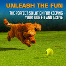 Nerf Dog Tennis Ball Blaster Fetch Toy Set