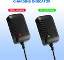 Dependable 6V Charger with LED Indicators - Perfect for Children's Electric Vehicles