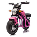 24V 300W Electric Kids Motorcycle with 14" Fat Wheels, Speeds Up to 11.18 MPH