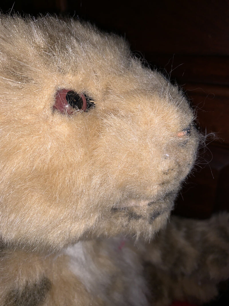 Interactive Deluxe Lion Cub Toy Second Edition 2020