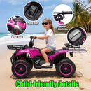 24V 80W Children’s Off-Road ATV with Non-Slip Tires, LED Illumination, Bluetooth Connectivity, and Storage Compartment