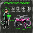 24V 80W Children’s Off-Road ATV with Non-Slip Tires, LED Illumination, Bluetooth Connectivity, and Storage Compartment