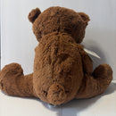 Bruno Mars 15" Plush COUNT ON ME Bears by Hallmark - Brown Edition 2016