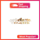 THINKBAY 15PC Lion Figurine Set - African Jungle Lion Family Collection