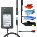 12V & 24V Charger for Children's Ride-On Vehicles and Electric Cars