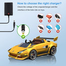 6V Charger for Ride-On Toys and Kidzone Bumper Cars