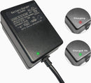 12V Charger for Children's Ride-On Vehicles and Yamaha Raptor