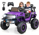 INFANS 24V Dual-Seat Electric Ride-On Car for Kids, 2WD/4WD with Remote Control