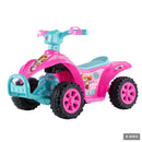 Paw Patrol Skye 6V Rechargeable ATV Quad Ride-On for Kids