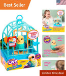 Whimsical Chatty Bird Toy in Cage - Voice Mimicking Fun for Imaginative Kids 5-7