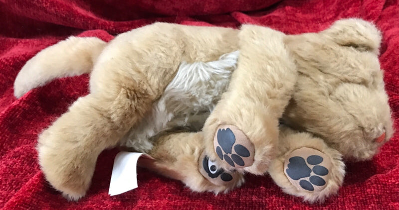 Interactive Mini Lion Cub Deluxe Electronic Toy