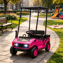 Pink 2-Seater 24V Kids Golf Cart with 2WD and Soft Start Rear Suspension